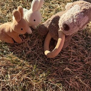 Jellycat Brown and Cream Bunny with Gray Mammoth Set